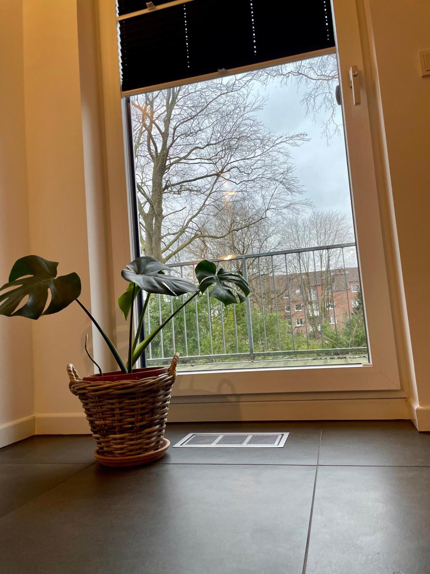 Modernes Holzhaus Im Skandinavischen Stil Mit Sauna, Garten Und 2 Katzen Norderstedt Luaran gambar